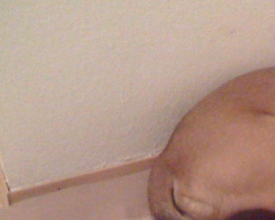 Bilder6.6.10 010.jpg