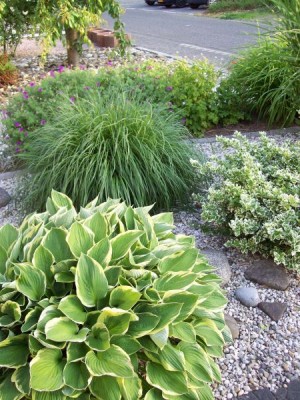 100_4764_450_600.jpg (97.34 KiB) 16649 mal betrachtet 100_4764_450_600.jpg