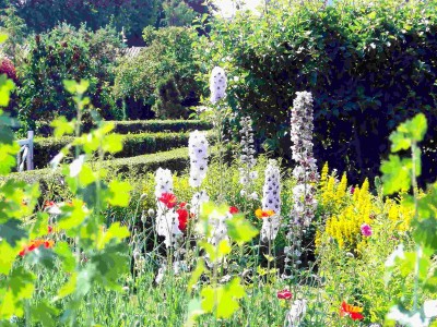 100_7135.jpg (244.41 KiB) 17680 mal betrachtet 100_7135.jpg