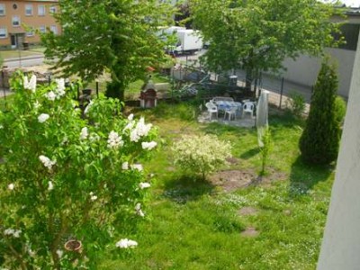 Fensternasicht meines Gartens..... das hinter dem Kugelbaum ist meines....