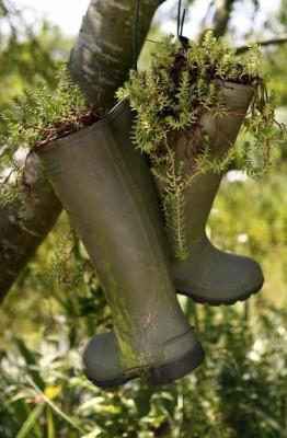 garden-decorations-on-a-budget-gumboots-plant-container-resized.jpg