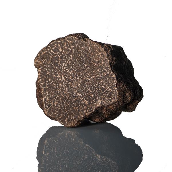 Melanosporum_600x.jpg